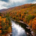 article image - fall 3